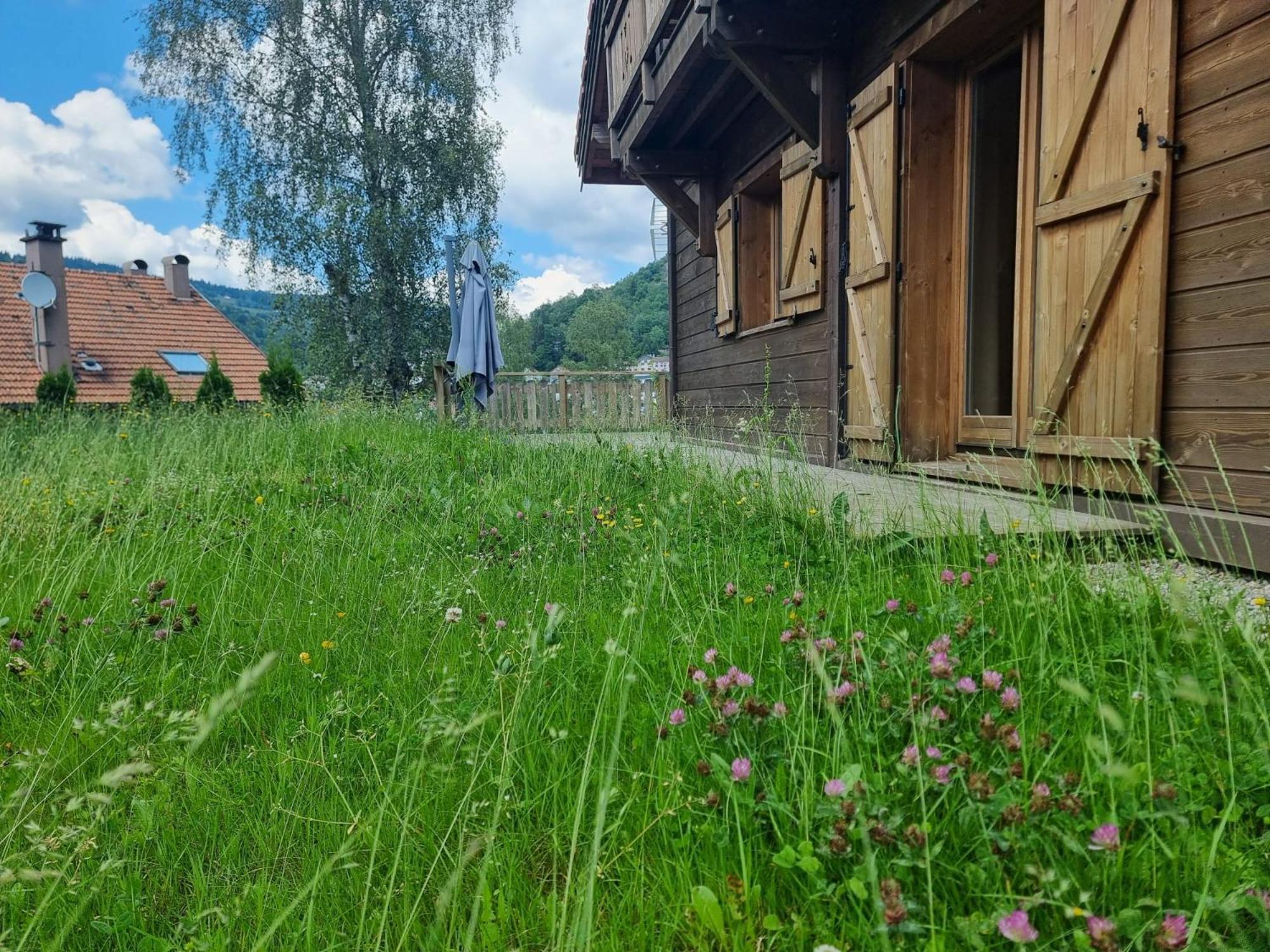 Le Chalet Du Pere Michel, Jacuzzi, Sauna, Jardin 拉布雷斯 外观 照片